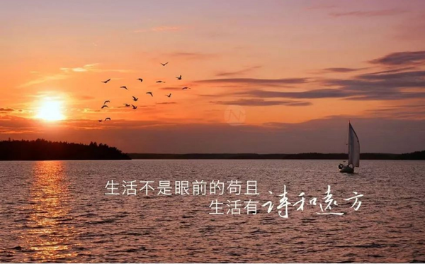 【海外诗译】精品双语朗诵《诗和远方》作者|婉晴、英译|Gerry、审译|任诚刚、朗诵|薇薇(图5)