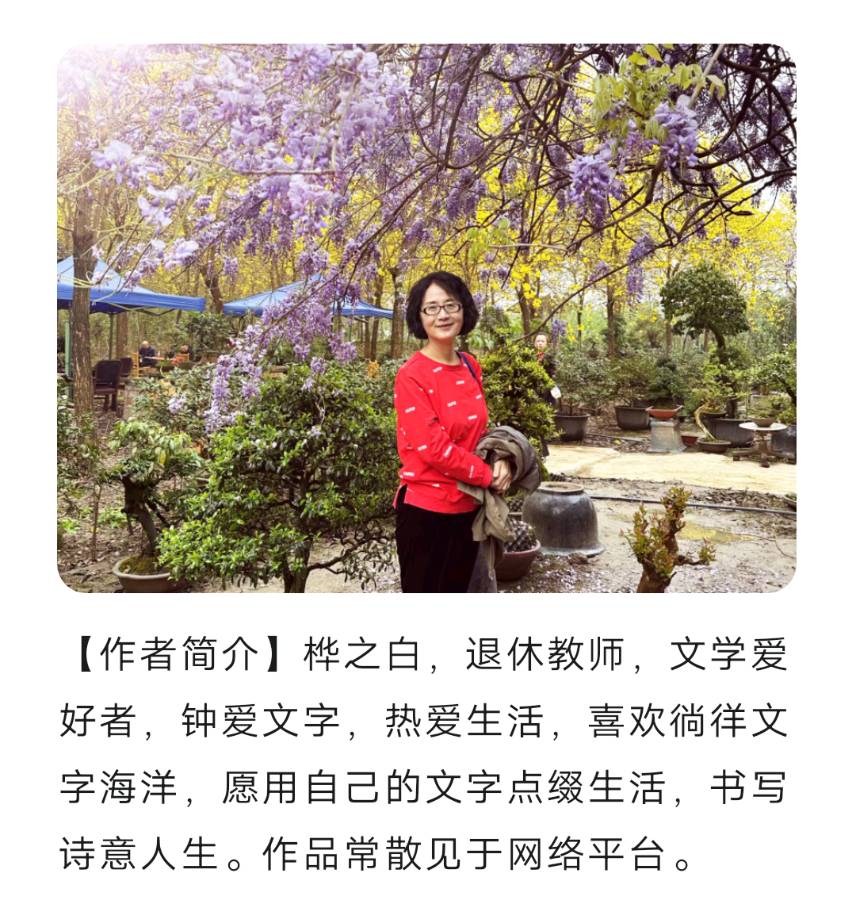 【上海头条】诗生活‖桦之白微诗专辑（图2）