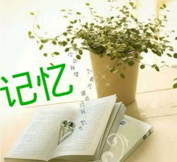 《感叹我的重阳》作者/海鹰 诵读/冬日艳阳 编辑制作/雨杉【花雨馨声】第486期（图4）