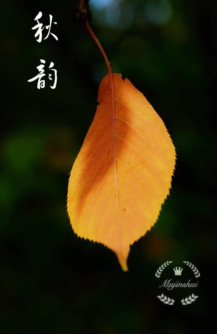 七律-秋韵～诗||宁国振（图8）