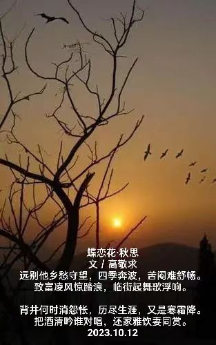 《蝶恋花 · 秋思》作者/高敬求(图3)