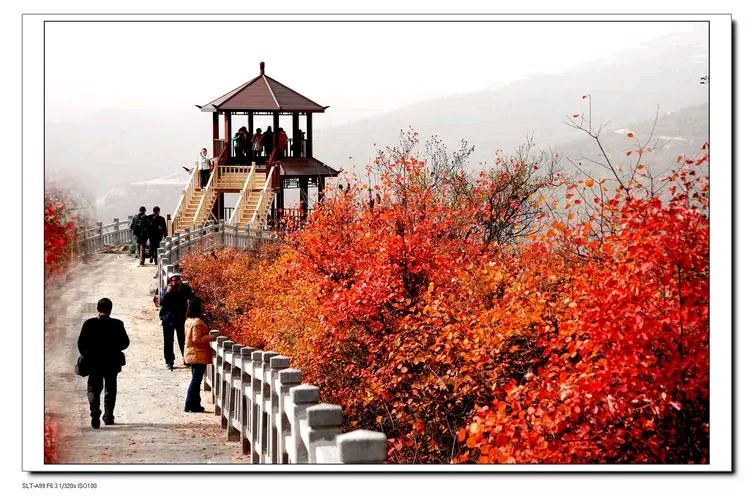 《七律 · 登仲山》诗人/柳鸣（图4）