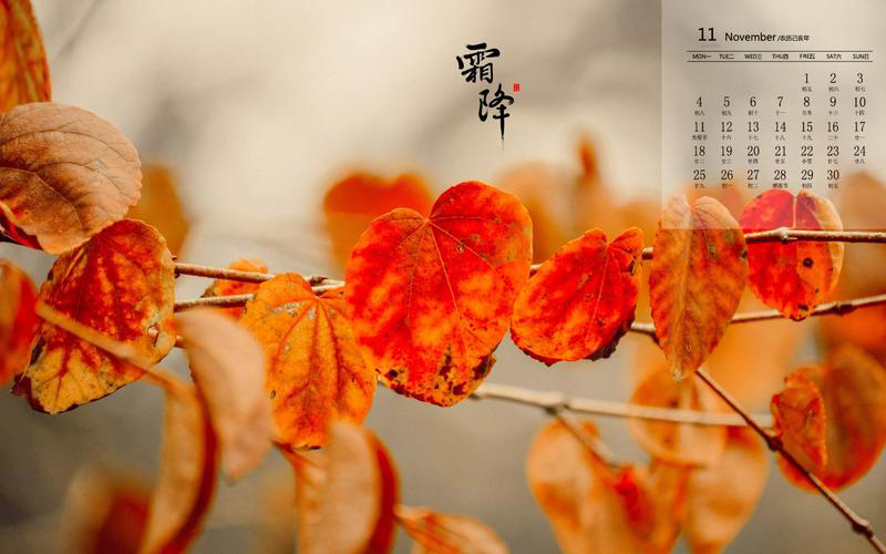 【新诗大观】霜降（诗二首）||文/金义