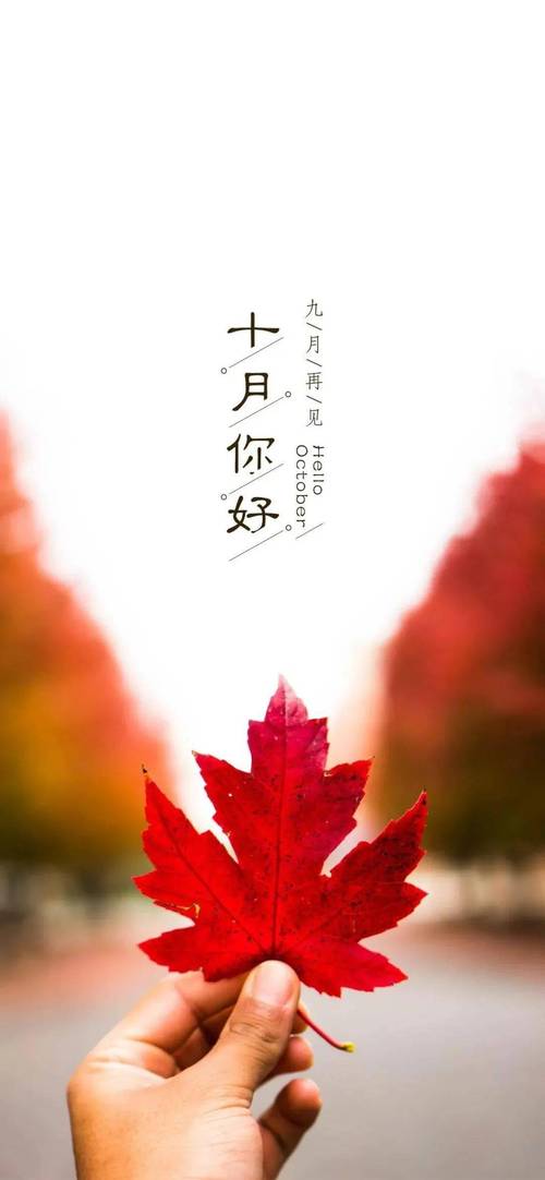 《写给十月·秋又萧瑟》作者:风清【主播:知语】【桃源国际诗歌集团】桃源♬ 馨声（图4）