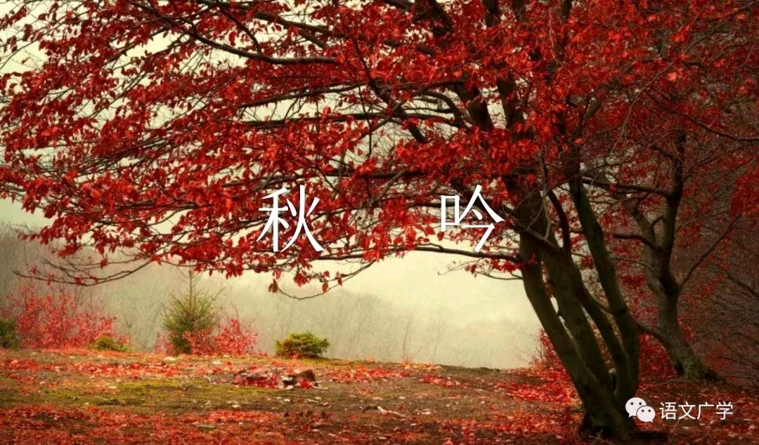 郝秀建的《秋》