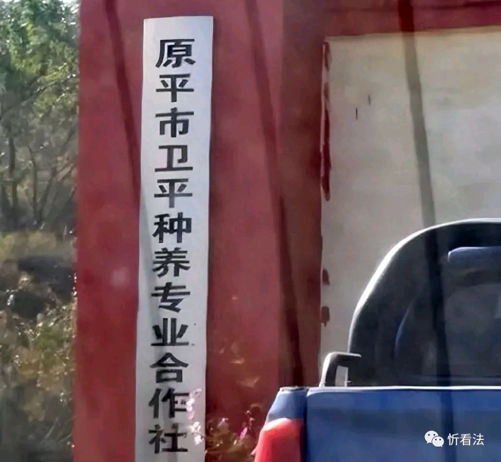 原平市苏龙口镇种养合作社挂羊头卖狗肉变身散乱污选矿厂