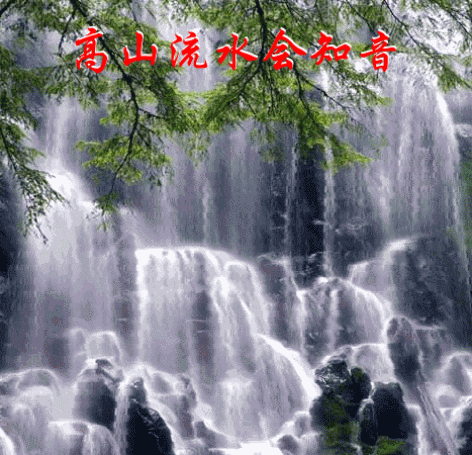 【重磅推出 秋韵诗兴】鲁坡//四时佳兴与君同｛外二首｝（图11）