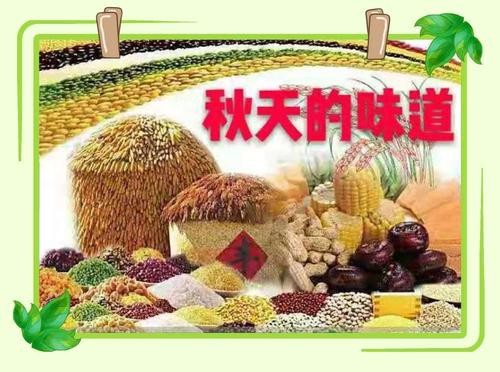 【重磅推出 秋韵诗兴】鲁坡//四时佳兴与君同｛外二首｝（图8）