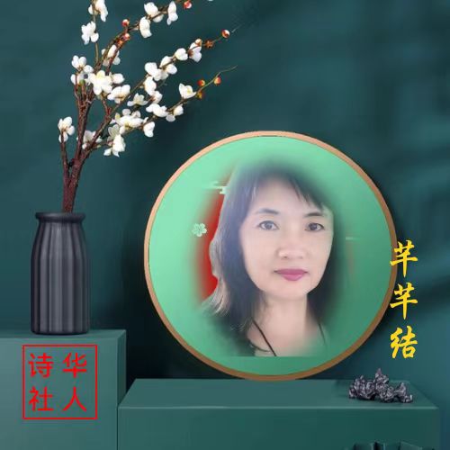 《华人诗社江风秦雨个人作品专场晚会》（图22）