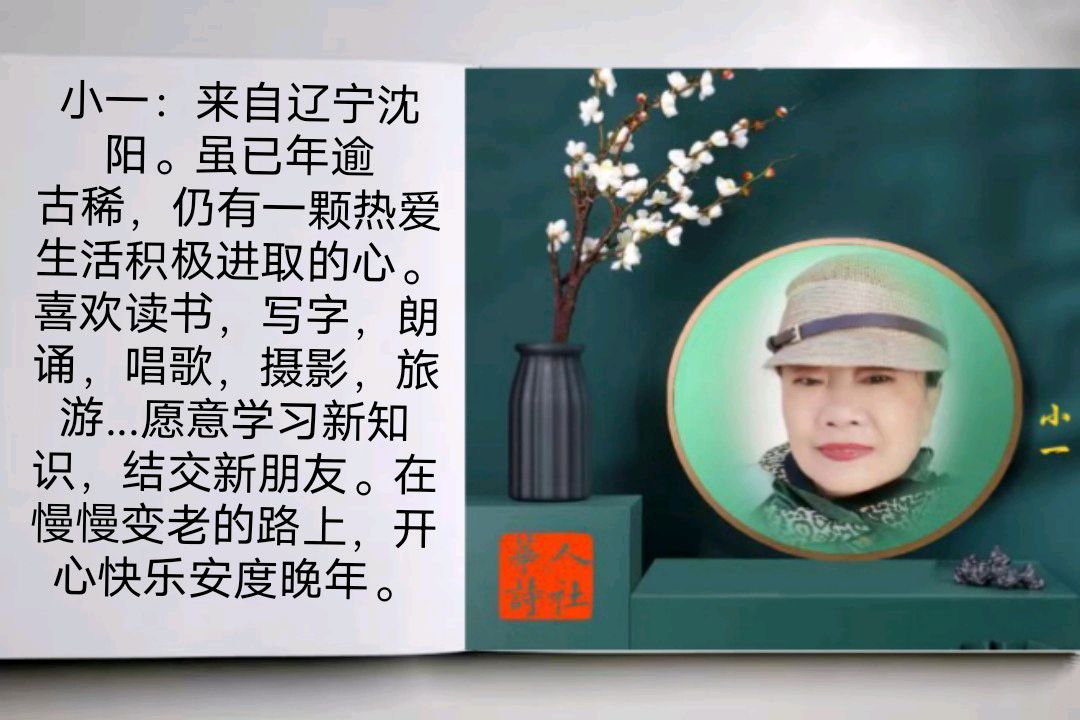 《华人诗社江风秦雨个人作品专场晚会》（图12）