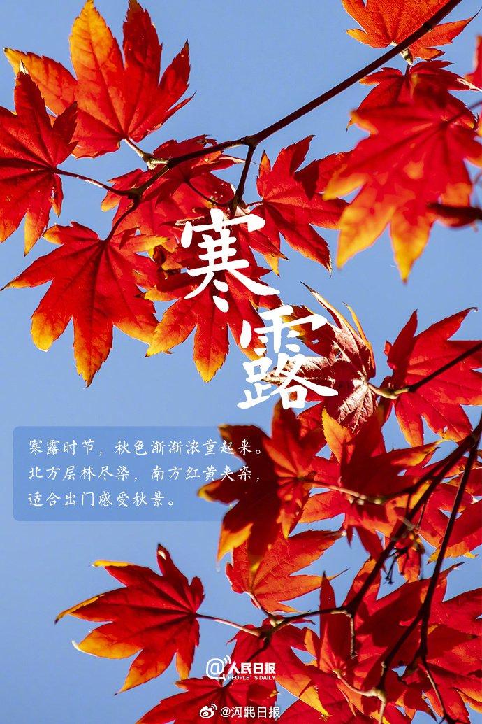 寒露1 寒露1