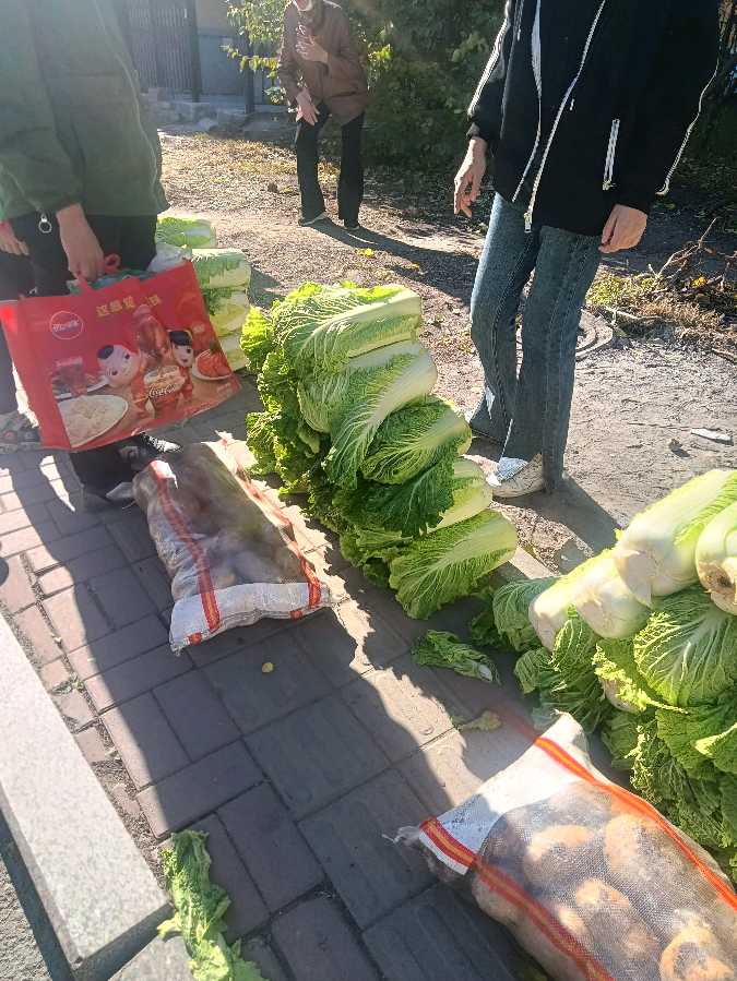 【关爱特殊儿童】特“蔬”行动·指南针爱心志愿者团队为小蜗牛特殊儿童家庭送上暖心冬菜（图6）