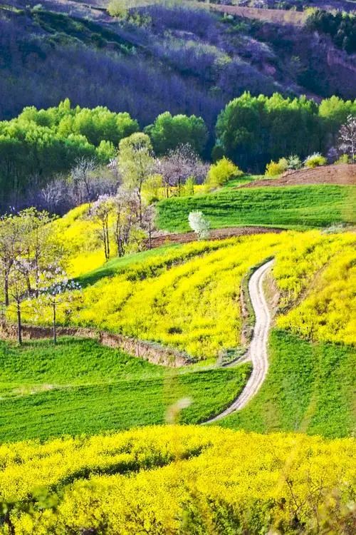 《七律 · 深秋景》诗人：柳鸣（图3）