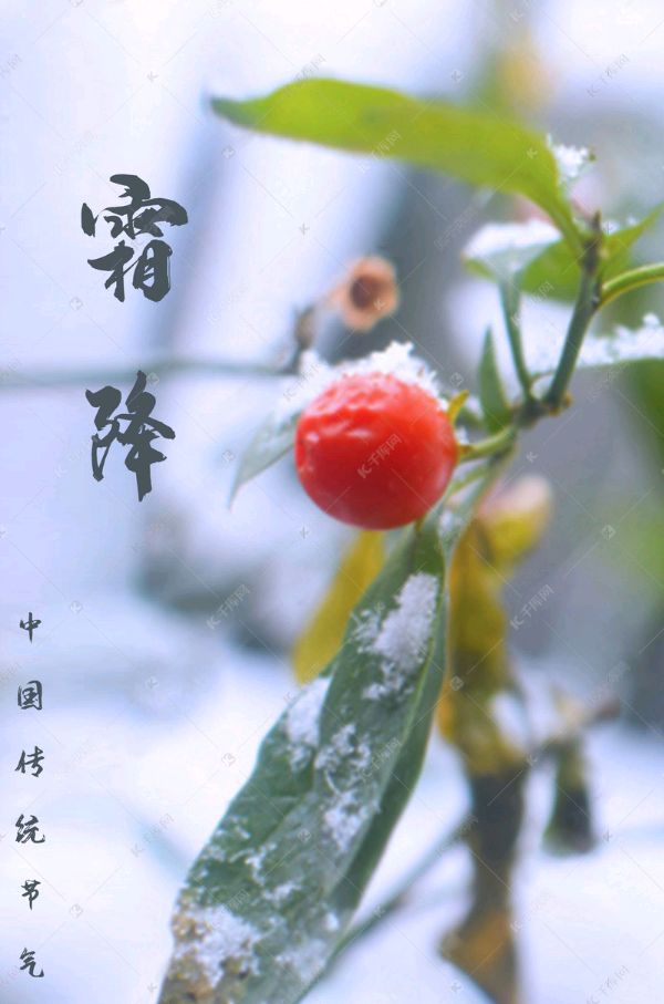 【荣耀中国】霜降吟（新韵）作者/刘文臣（河北）（图3）