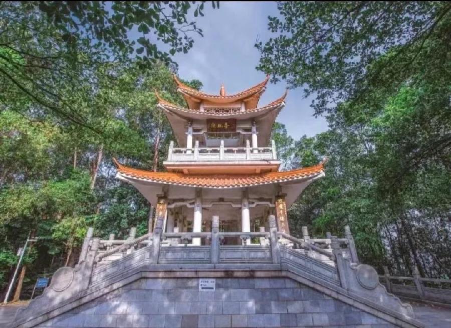 【经典推荐】曾培方//游黄埔龙头山森林公园（图7）