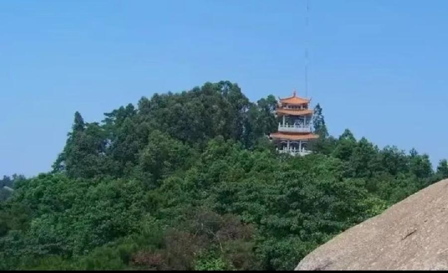 【经典推荐】曾培方//游黄埔龙头山森林公园（图9）