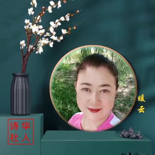 华人诗社江风秦雨个人作品专场晚会（图31）