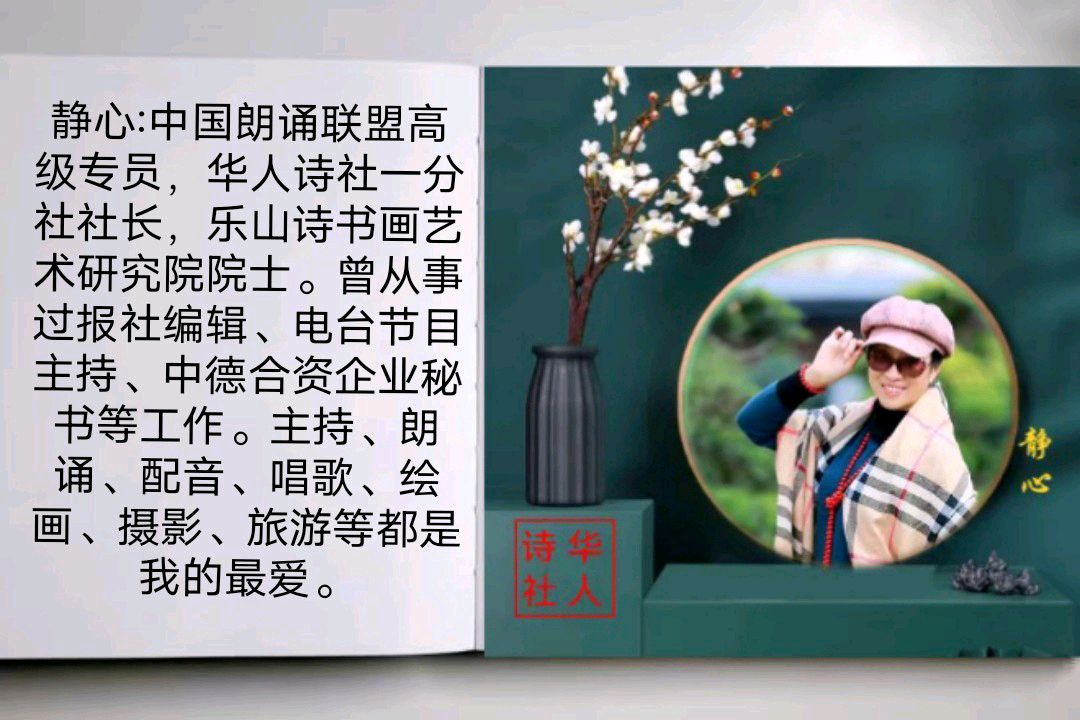 华人诗社江风秦雨个人作品专场晚会（图36）