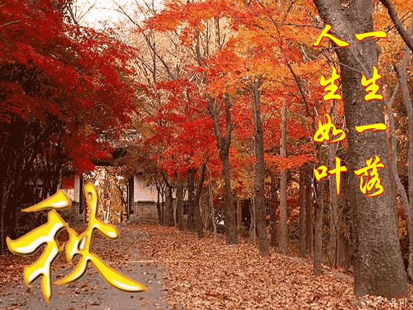 *相吻深秋*作者：邓中华〔江西〕【冰心文化传媒】（图3）