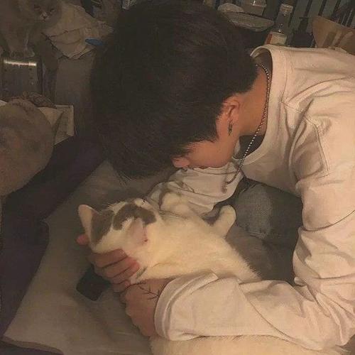 《一只名字叫做云的猫》作者:听雨【主播:知语】【桃源国际诗歌集团】用声音传递温暖以诵读致敬人生♬（图7）