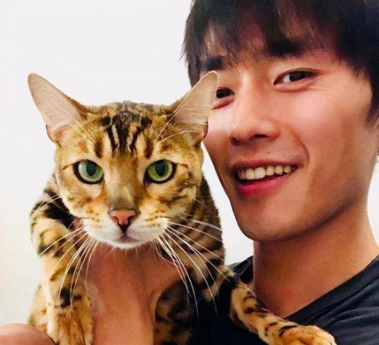 《一只名字叫云的猫》作者:听雨【主播:玲子】【桃源国际诗歌集团】用声音传递温暖以诵读致敬人生♬（图6）