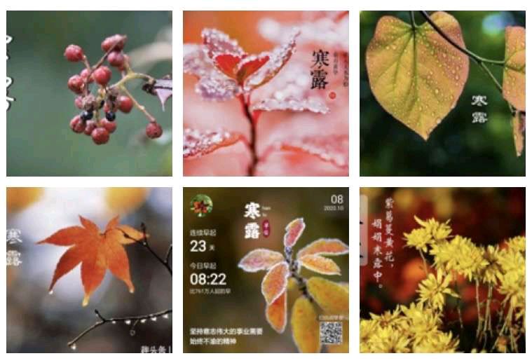〔诗词小辑〕作者：张晓峰〔重庆〕【冰心文化传媒】（图10）