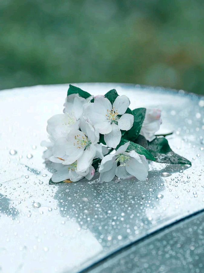 *又见小雨*两首 文／陈铠 黑龙江【冰心文化传媒】（图3）