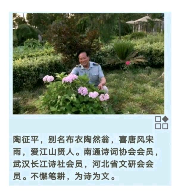 《菊》陶征平（图6）
