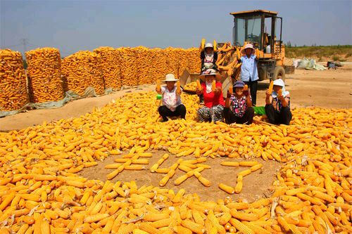 《农夫长假行》文/陶征平（图3）