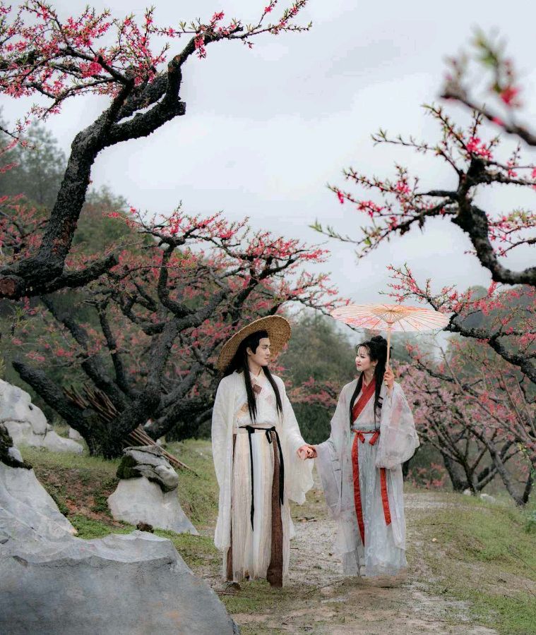 《你曾经醉过我的心》作者:听雨【主播:玲子】【桃源国际诗歌集团】用声音传递温暖以诵读致敬人生♬（图7）