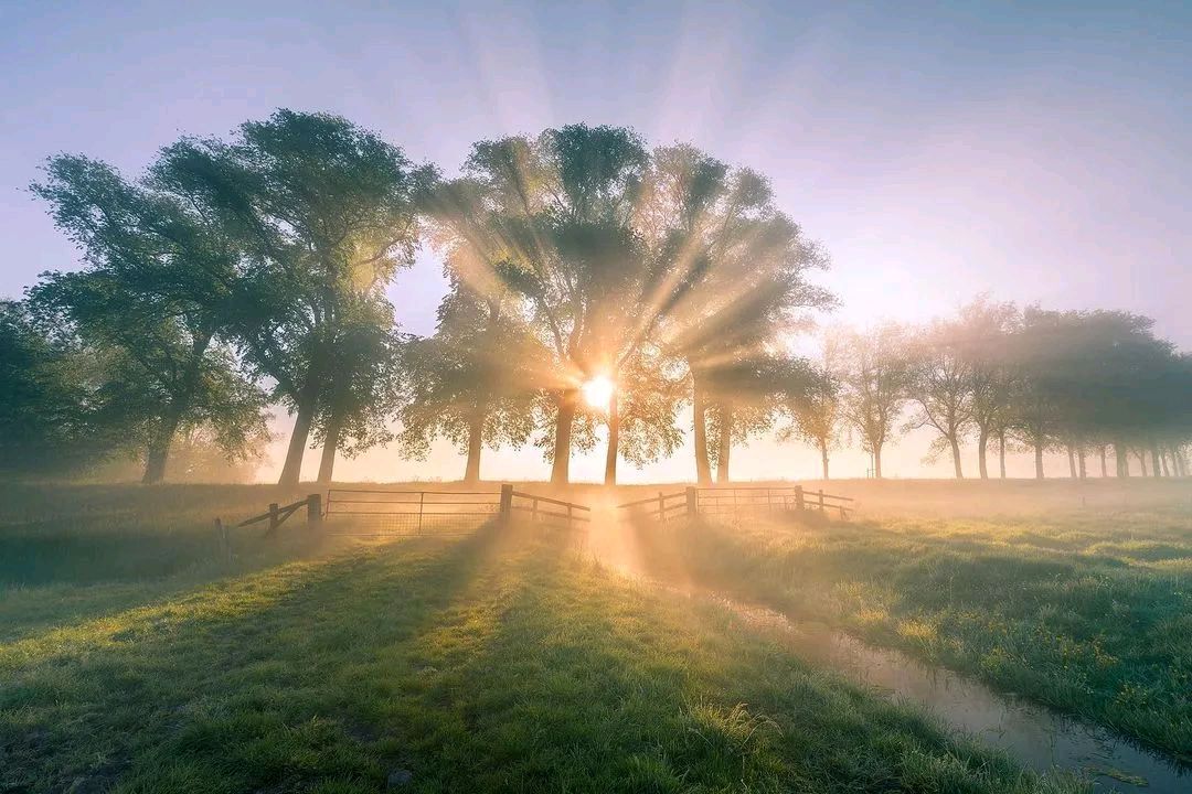 牵手阳光（外一首）文/江琦瑛（图3）