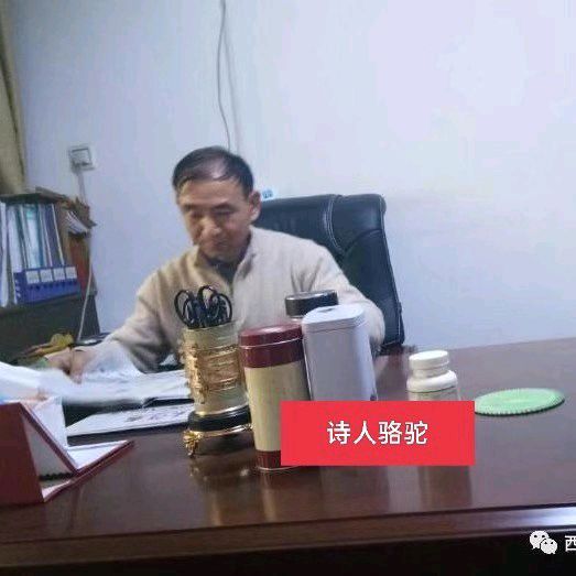 *秋叶（外一首）文/骆驼〔河南〕【冰心文化传媒】（图5）