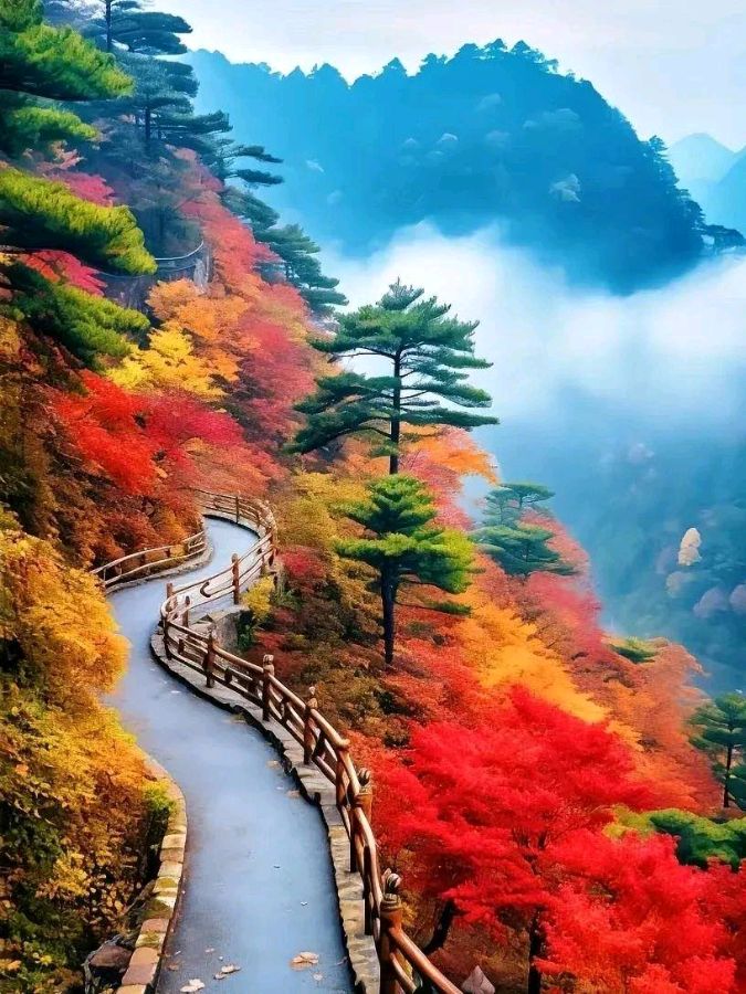 经典合诵 ‖【枫叶🍁红金秋】作者/雷金钟 合诵/弘华 梦缘梦 心心（图12）