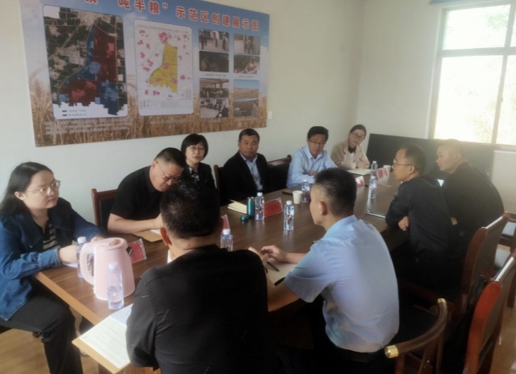 合力政银担 三农路更宽:人行聊城分行 、省农担聊城管理中心领导赴阳谷县调研粮食规模种植贷业务开展情况