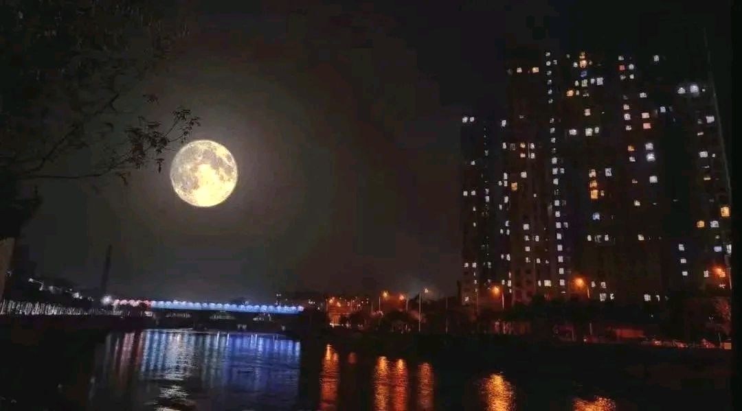 【诗词鉴赏】七绝 · 花儿傲骨不识秋(外二首)作者/王胜利(图5)
