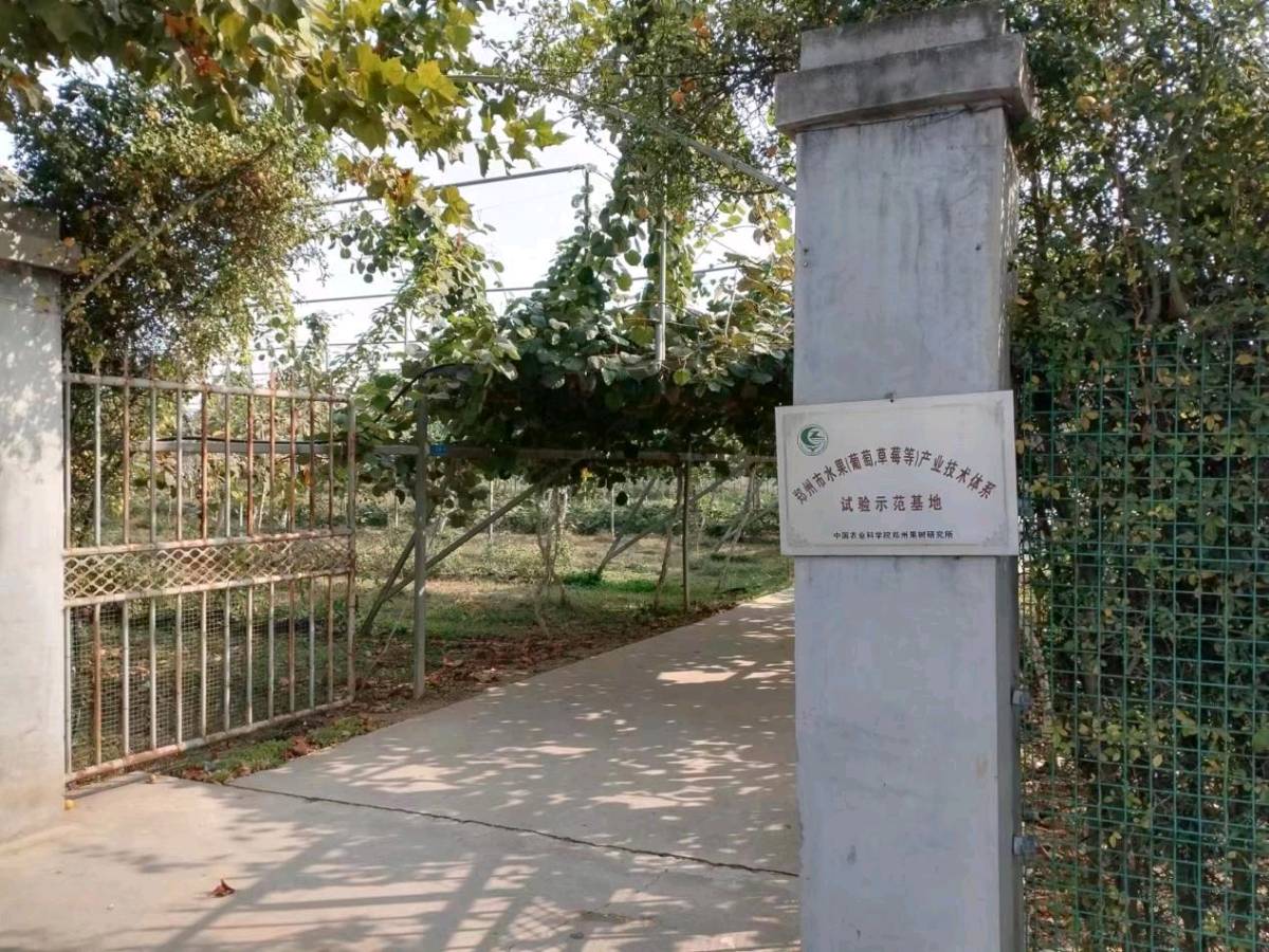 中国农科院灌溉研究所研学基地组织新乡市三十二中学生走进新乡县七里营毛主席视察田等地参观研学(图4)