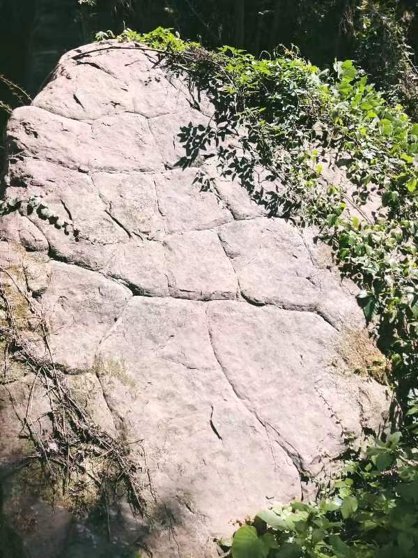 【星月诗社】||杨奇国:桂花村里的童话（散文）（图7）