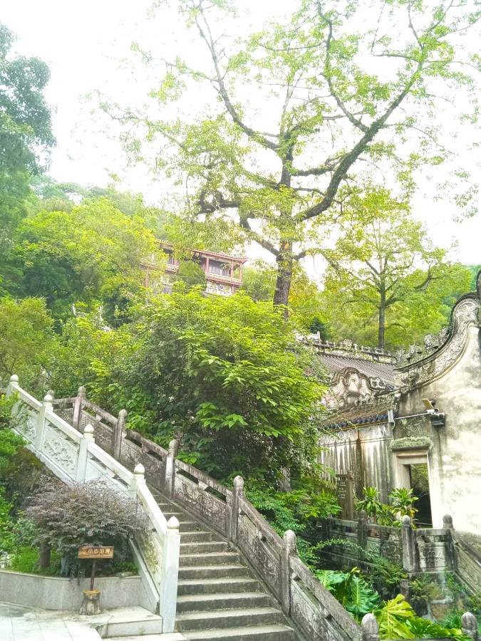 【荣耀中国】左书谔老师诗词欣赏(图6)