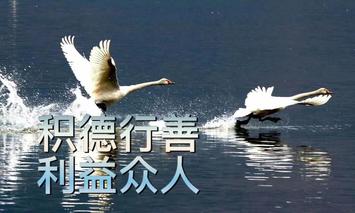 联机全球发布吴华龙作品欣赏！（图2）
