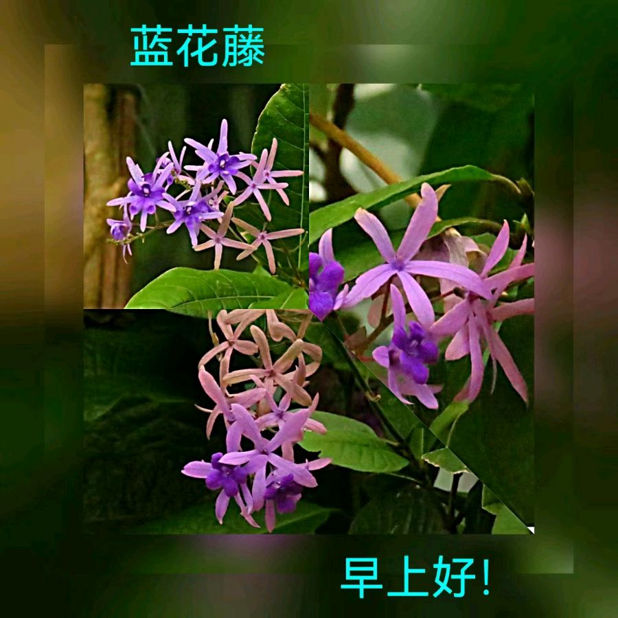 联机全球发布马洪武作品欣赏（图440）