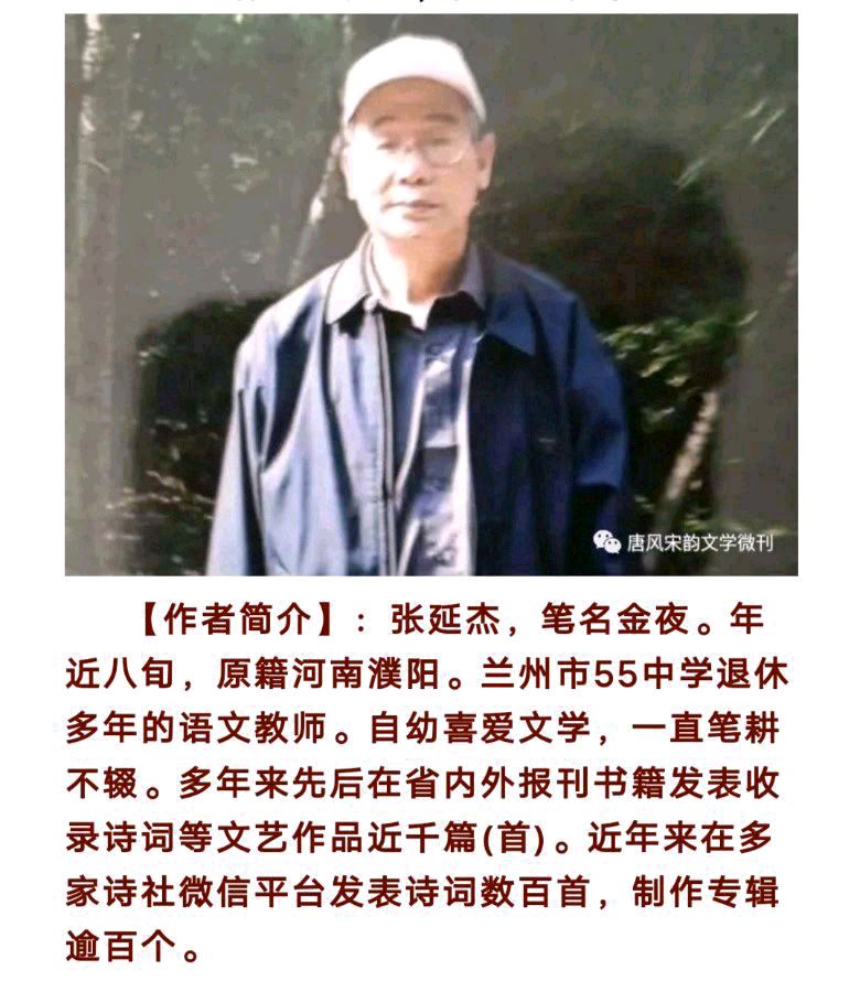 高阳台*晚秋絮语 金夜（兰州）（图6）
