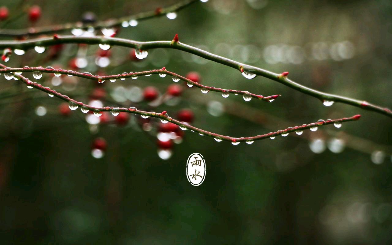 *小雨*文／陈铠 黑龙江【冰心文化传媒】（图3）