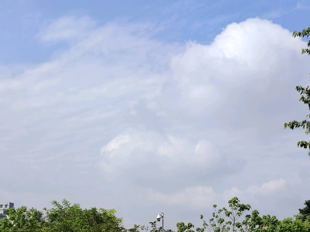 雷学刚：凡尘心语