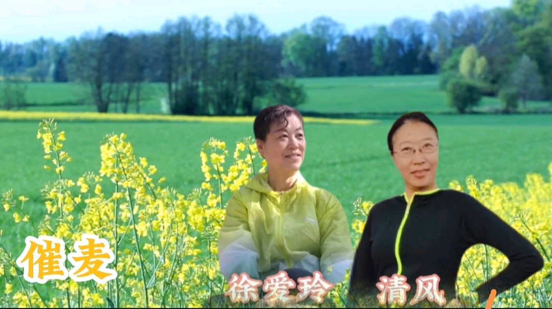 《浪漫金秋，九九相逢》喜相逢唱诵团一周年专场晚会🌹喜相逢唱诵团第【第九十三期】（图14）