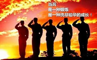 满庭芳·热烈祝贺十二军警卫连老战友诸暨聚会(晏几道体)文 / 山水逸翁(王忠森)（图4）