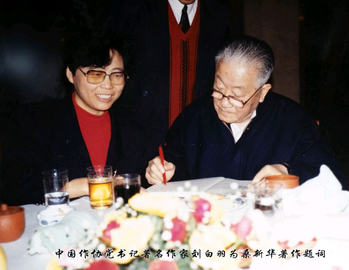 《百岁将军的故乡情》联机全球发布叶子青青作品（图28）