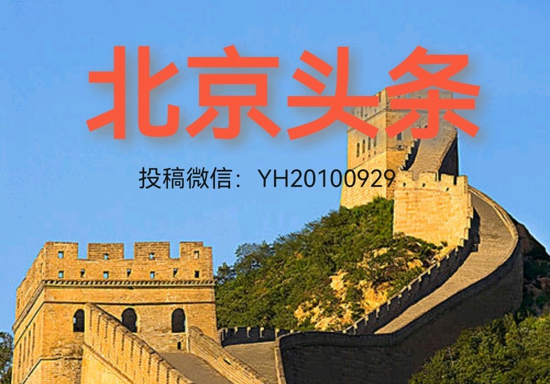 《百岁将军的故乡情》联机全球发布叶子青青作品