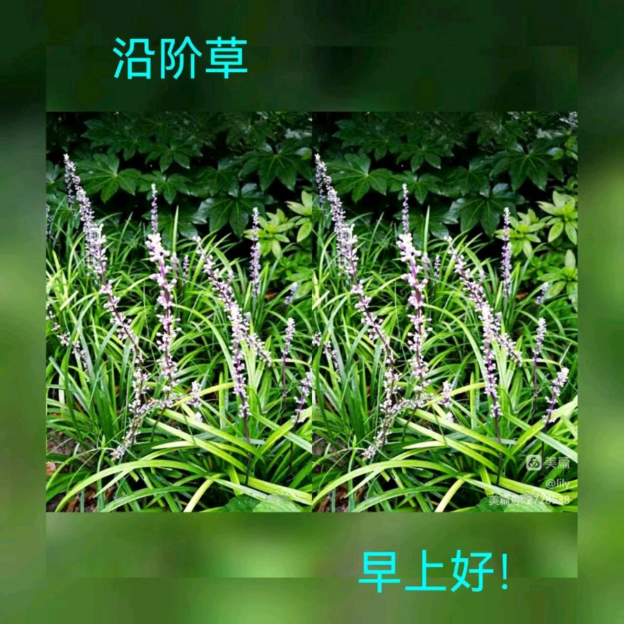联机全球发布马洪武作品欣赏（图438）