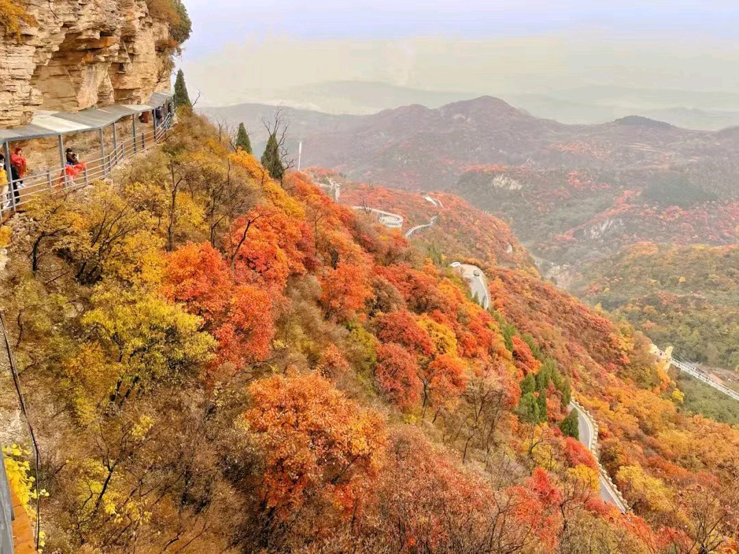 《秋色》作者/开心（内蒙古赤峰）（图2）