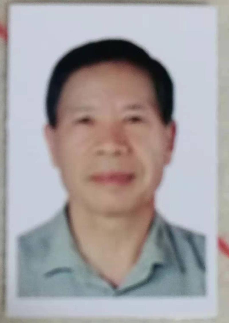 老香椿树冬影（文/彭云南）……莲叶之珠文学社（图4）